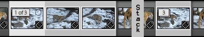 LightRoom 1.0: Stacking
